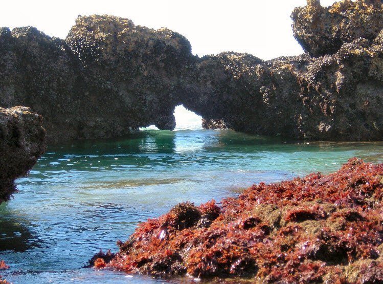 Pollok Beach, , South Africa